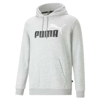 Sudadera Puma Essential 586765-04