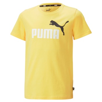 Camiseta Puma Essential 586985-45