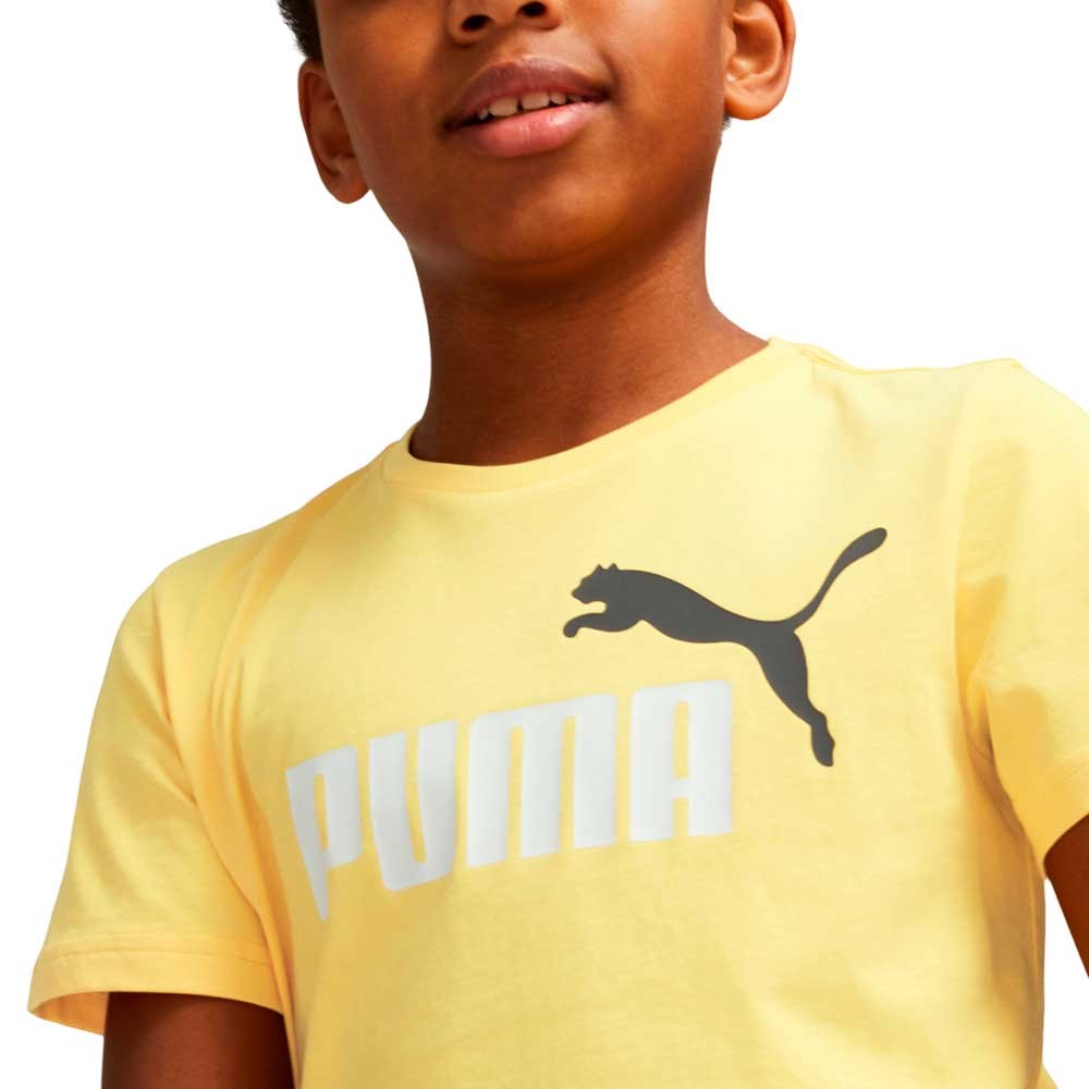 Camiseta Puma Essential 586985-45